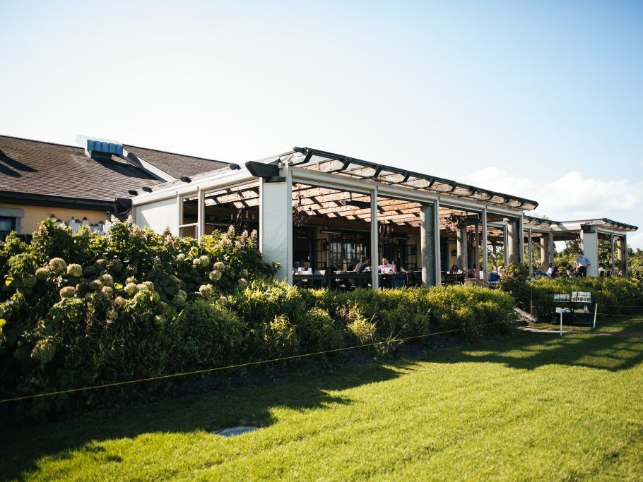 Picture of Wölffer Estate Vineyard