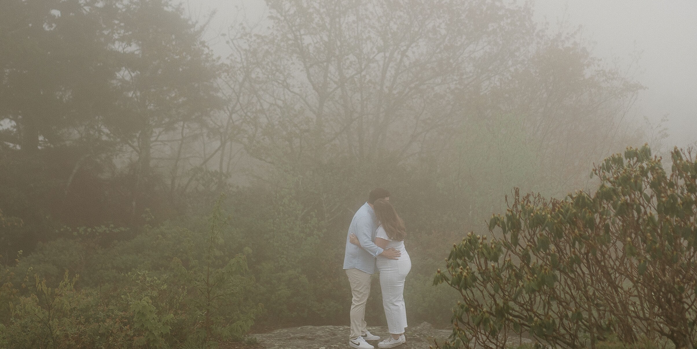 Sydney & Seth Home Page Banner