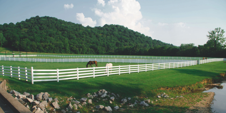 Lilly & Jimmy Home Page Banner
