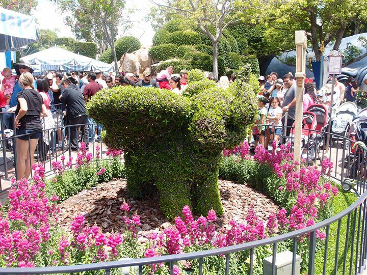 Album Photo 54
