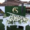 An Entertainment-Filled Wedding in Las Vegas