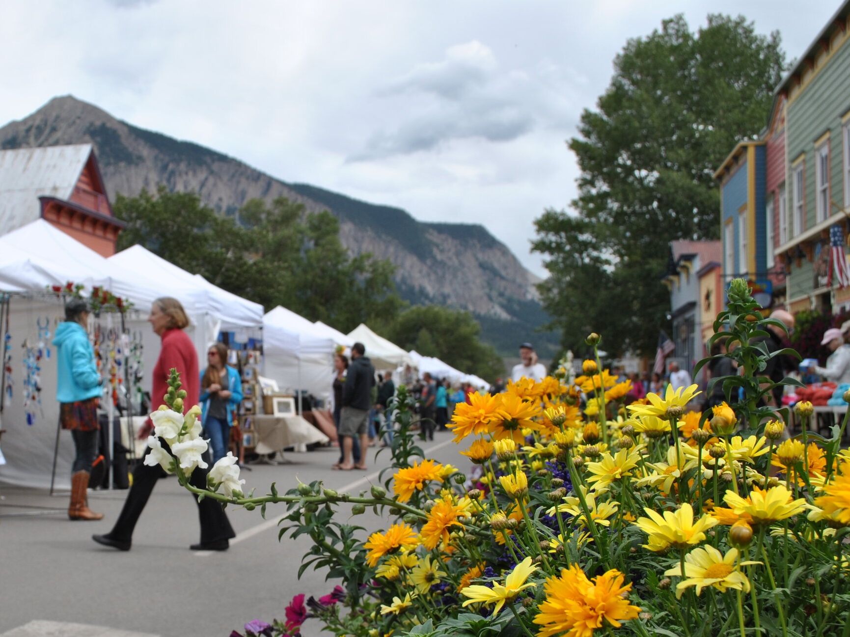 Picture of Paragon People's Fair