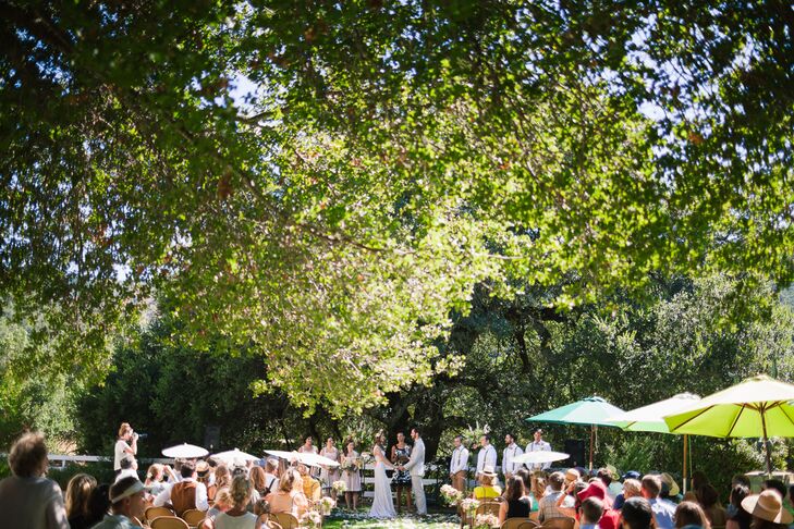 Green Umbrellas and Parasols