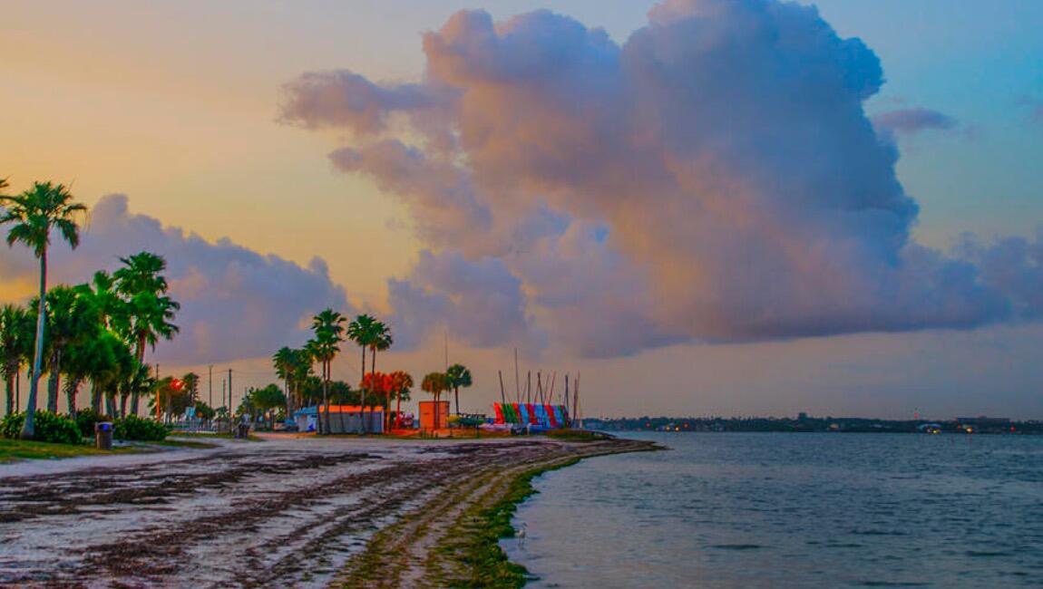 Picture of Dunedin Causeway