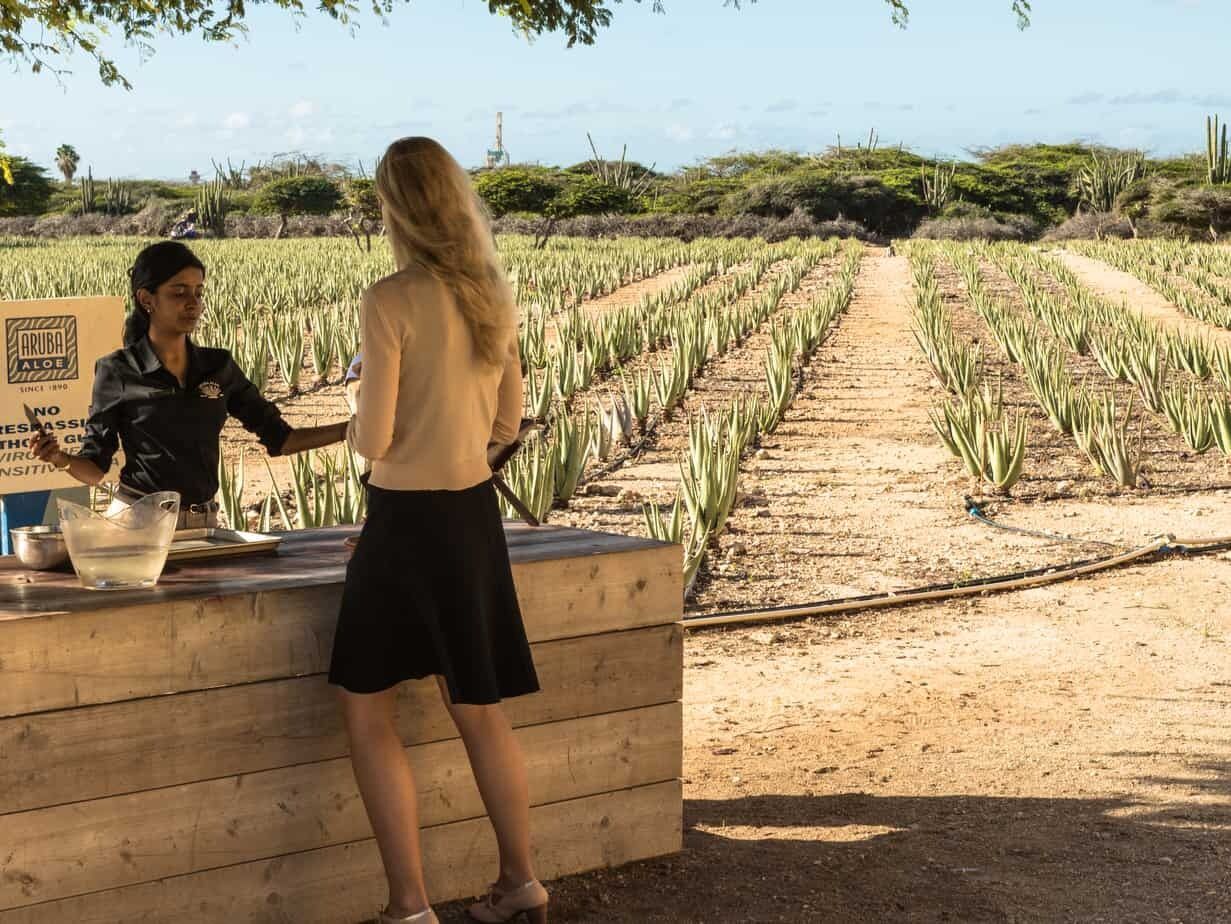 Picture of Aruba Aloe Factory Museum and Store