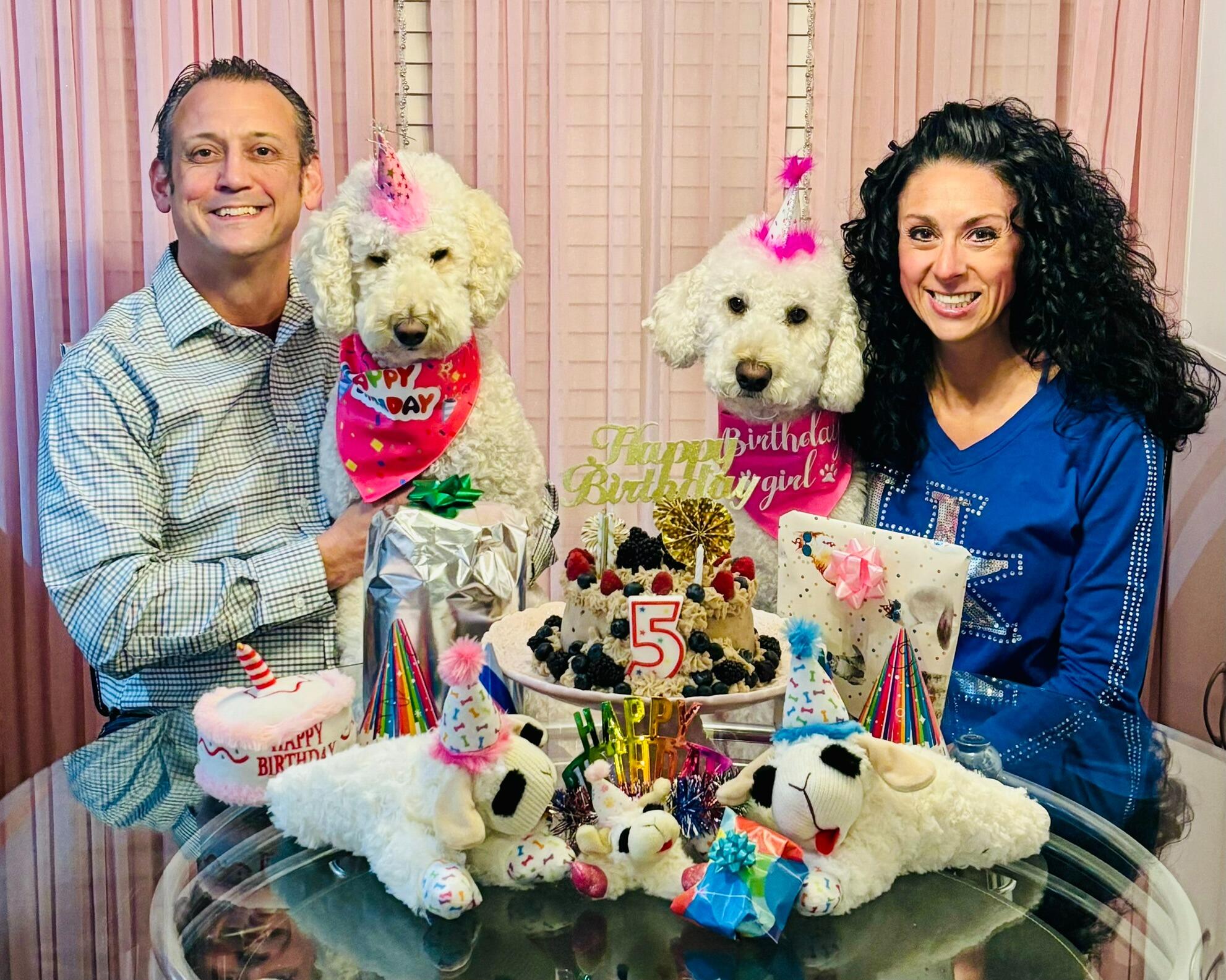 Birthday cheer, pupper style! Mya’s 5th celebrated with treats, toys, and a custom cake only her mommy could create.