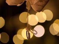 7 Holiday & New Year's Eve Marriage Proposal Ideas