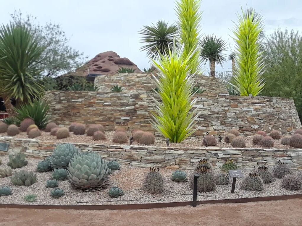 Picture of Desert Botanical Garden