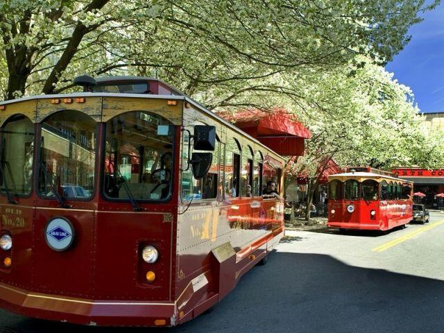 Picture of Gray Line Trolley Tours