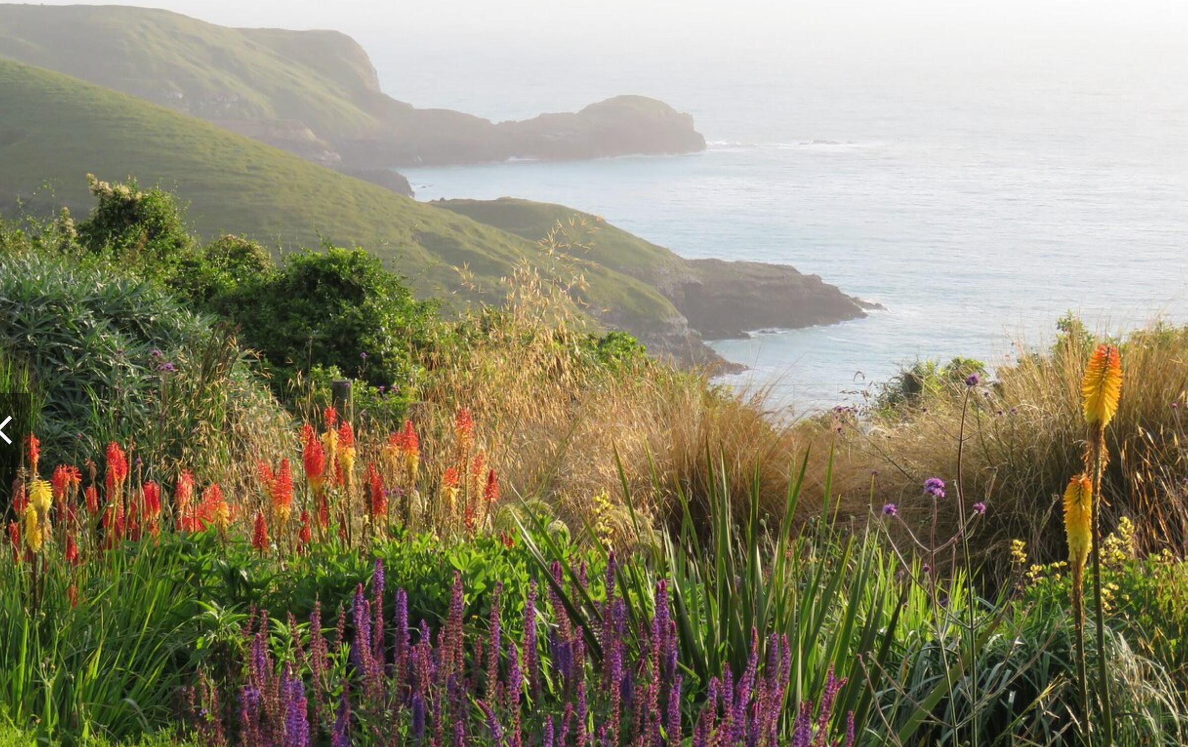Picture of Fishermans Bay Garden