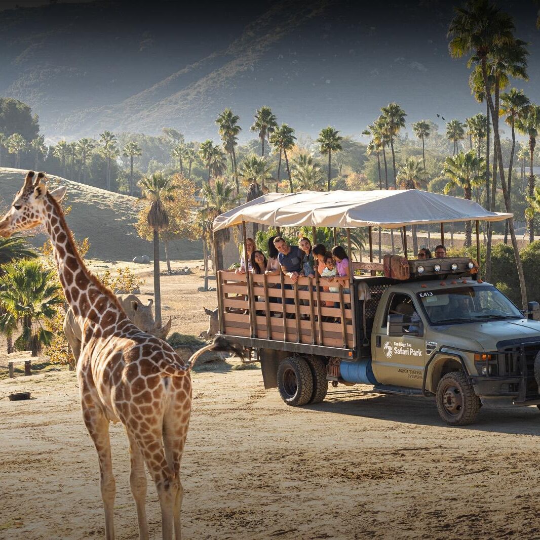 Picture of San Diego Zoo