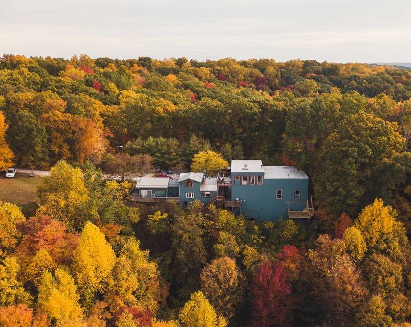 Picture of Venue: Treetop Retreat