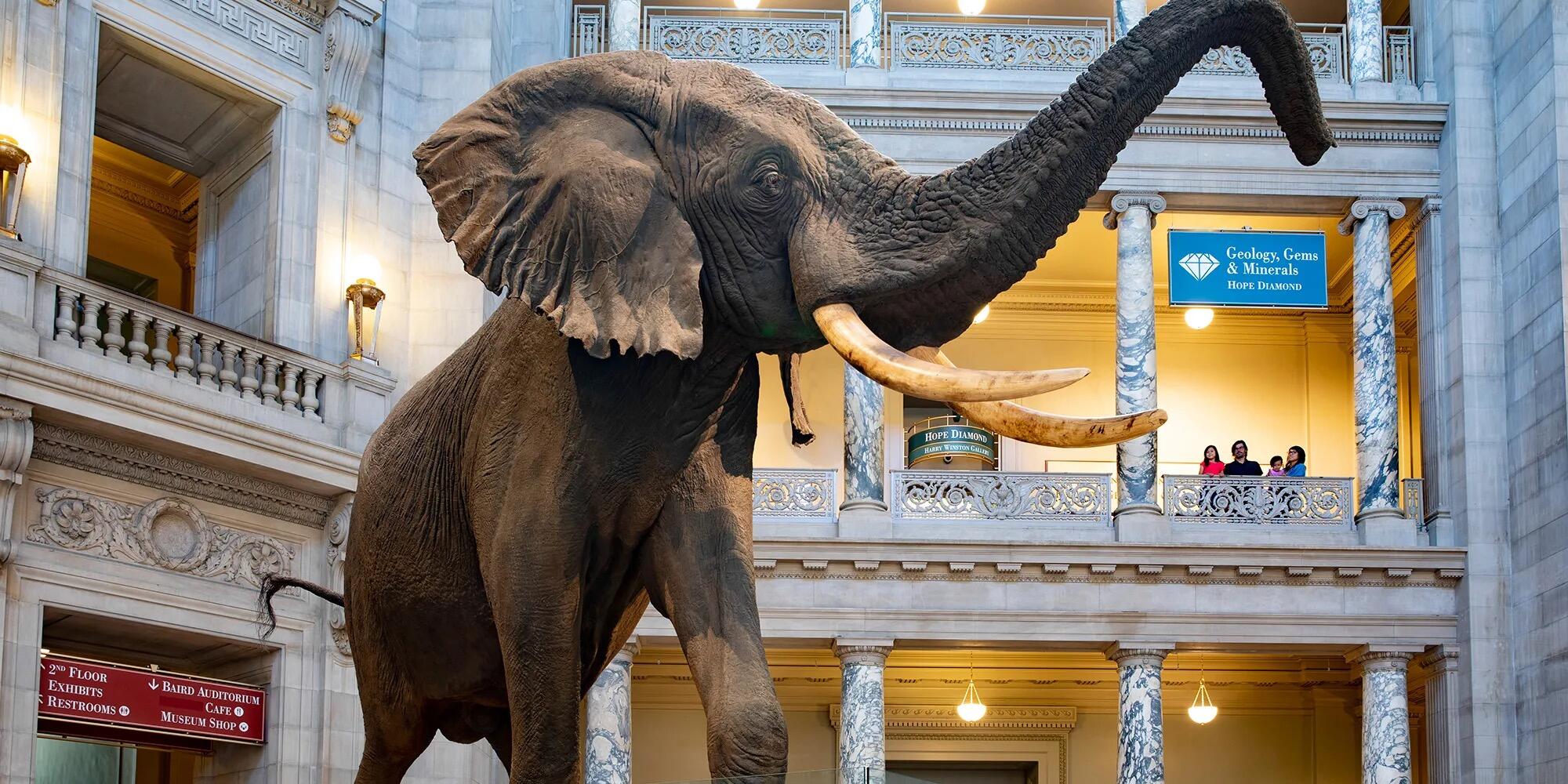 Picture of Smithsonian National Museum of Natural History