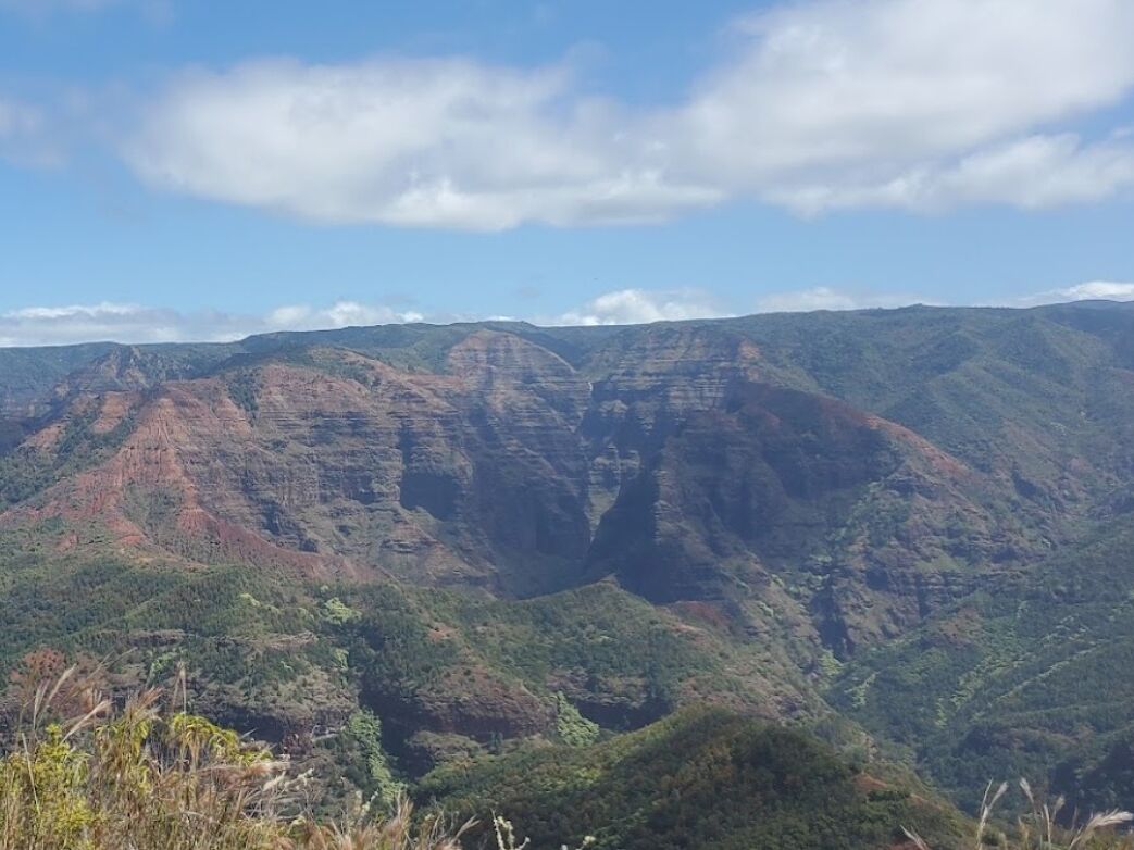 Picture of Iliau & Kukui