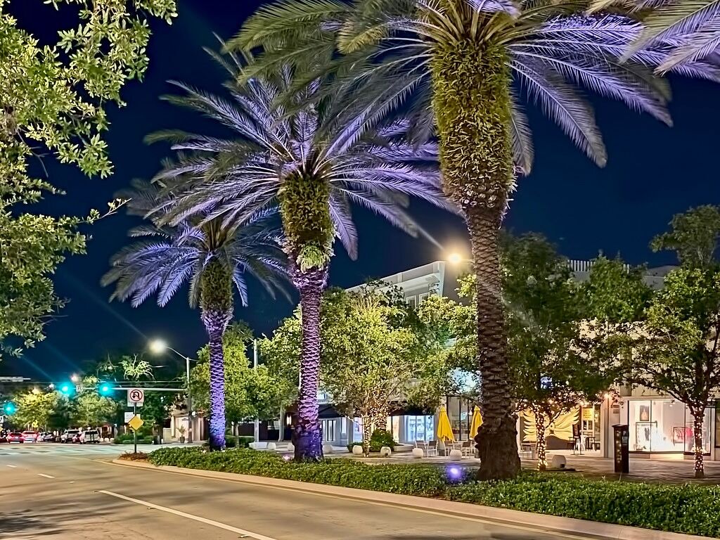 Picture of Miracle Mile & Downtown Coral Gables