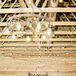 DIY Wooden Branch Wedding Arch