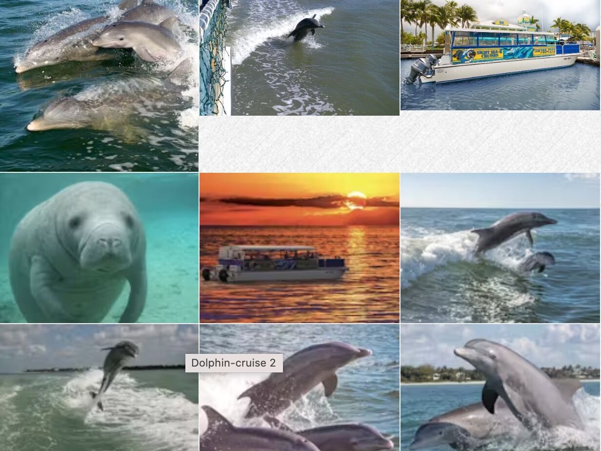Picture of Sight Sea-R Cruises