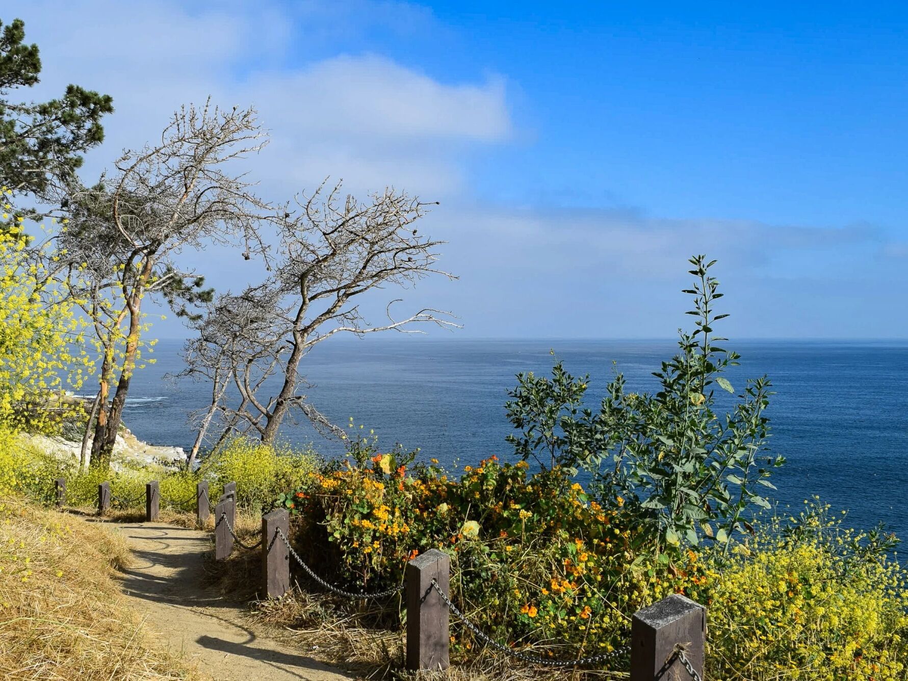 Picture of Coast Walk Trail