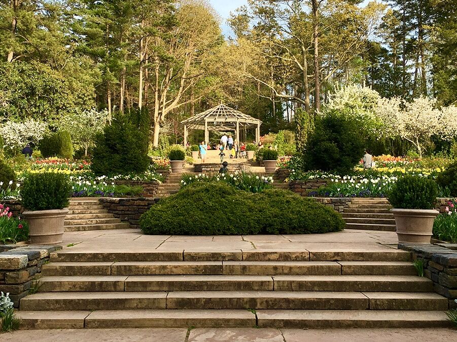 Picture of Sarah P. Duke Gardens