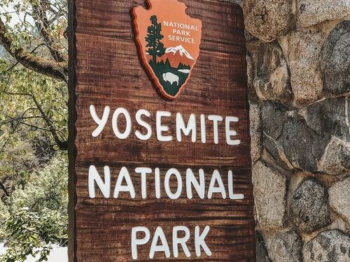 Picture of Visit Yosemite National Park