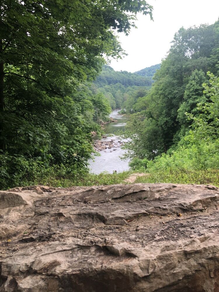 Picture of Ohiopyle State Park