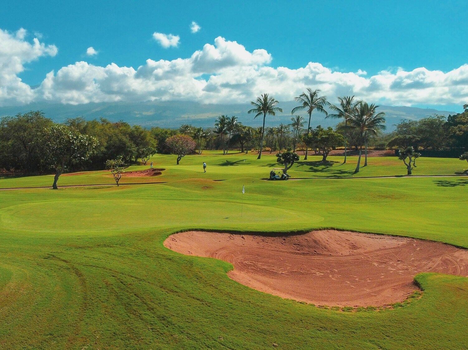 Picture of Maui Nui Golf