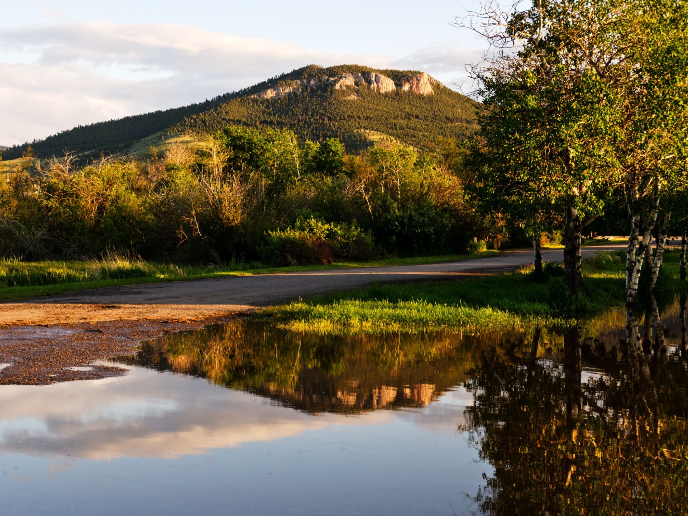 Picture of Mount Helena Trailhead