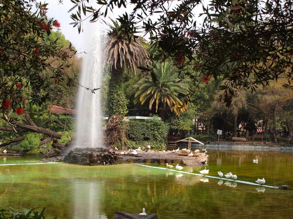 Picture of Parque México