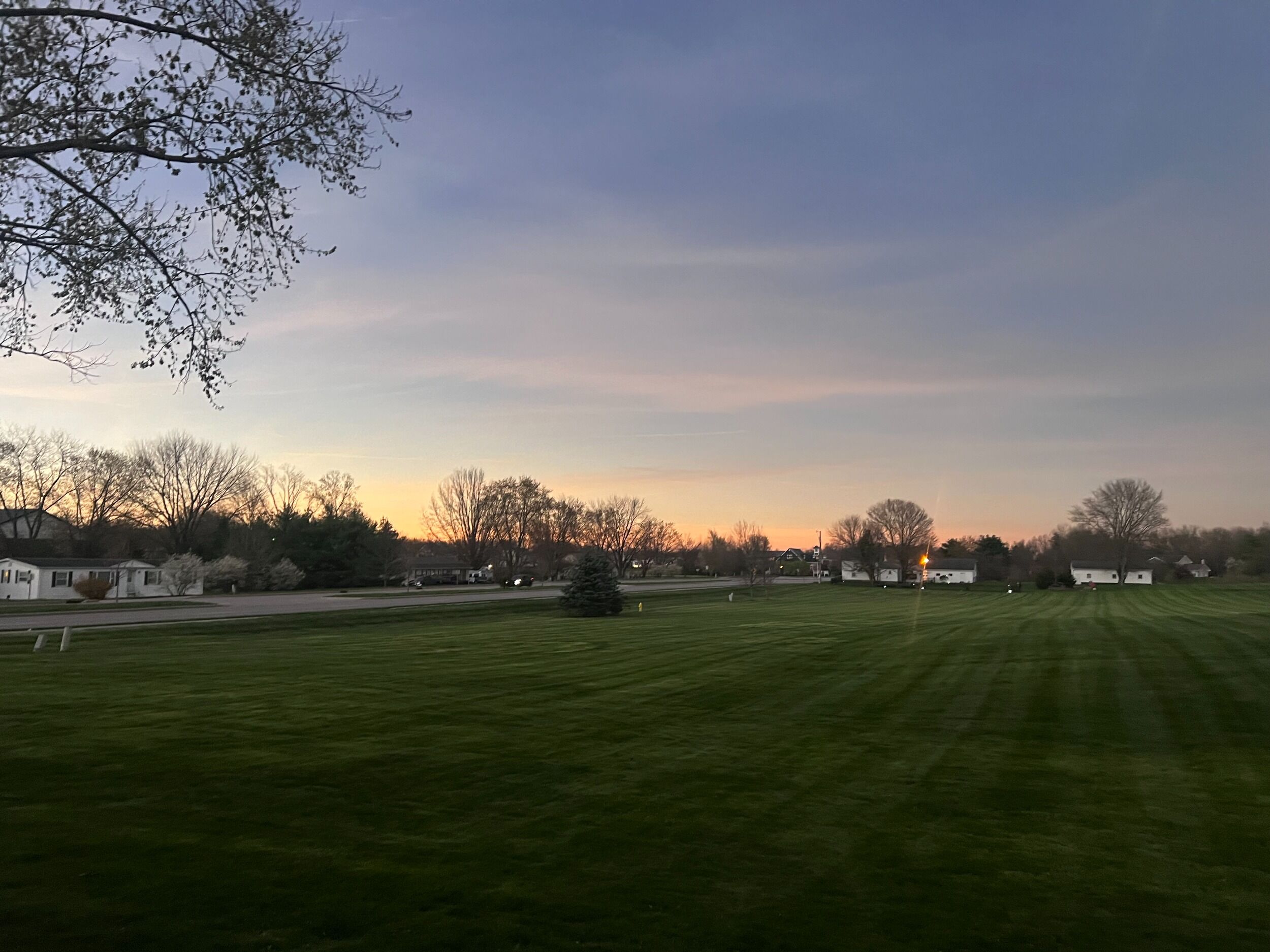 Picture of Field Day