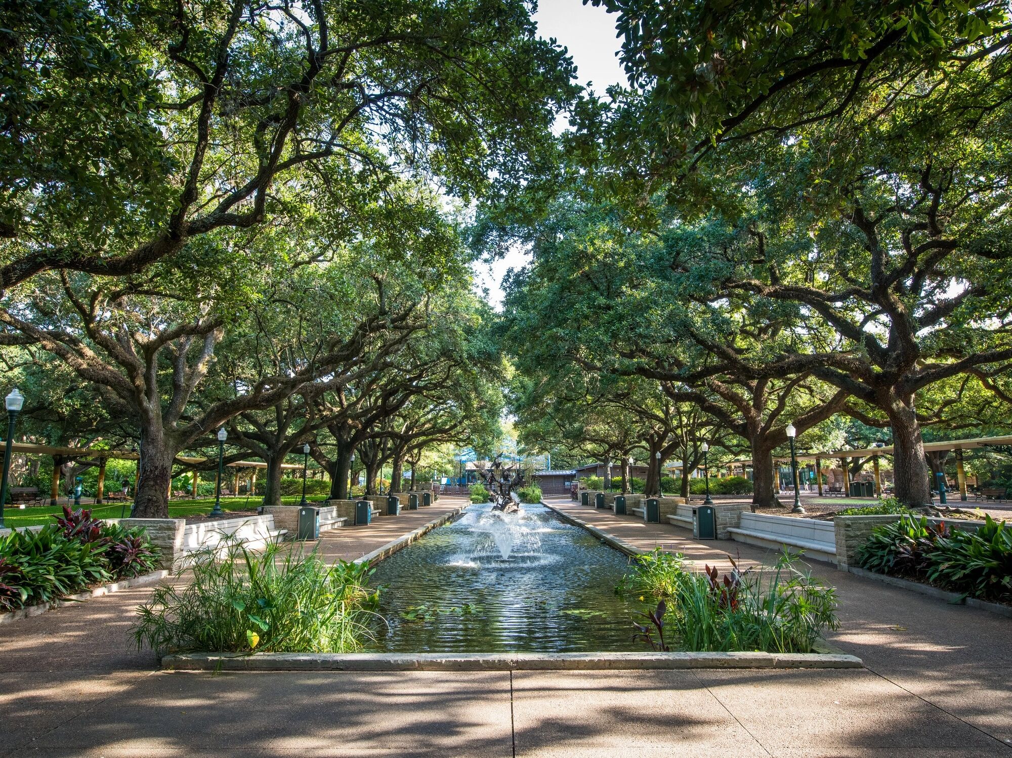 Picture of Houston Zoo