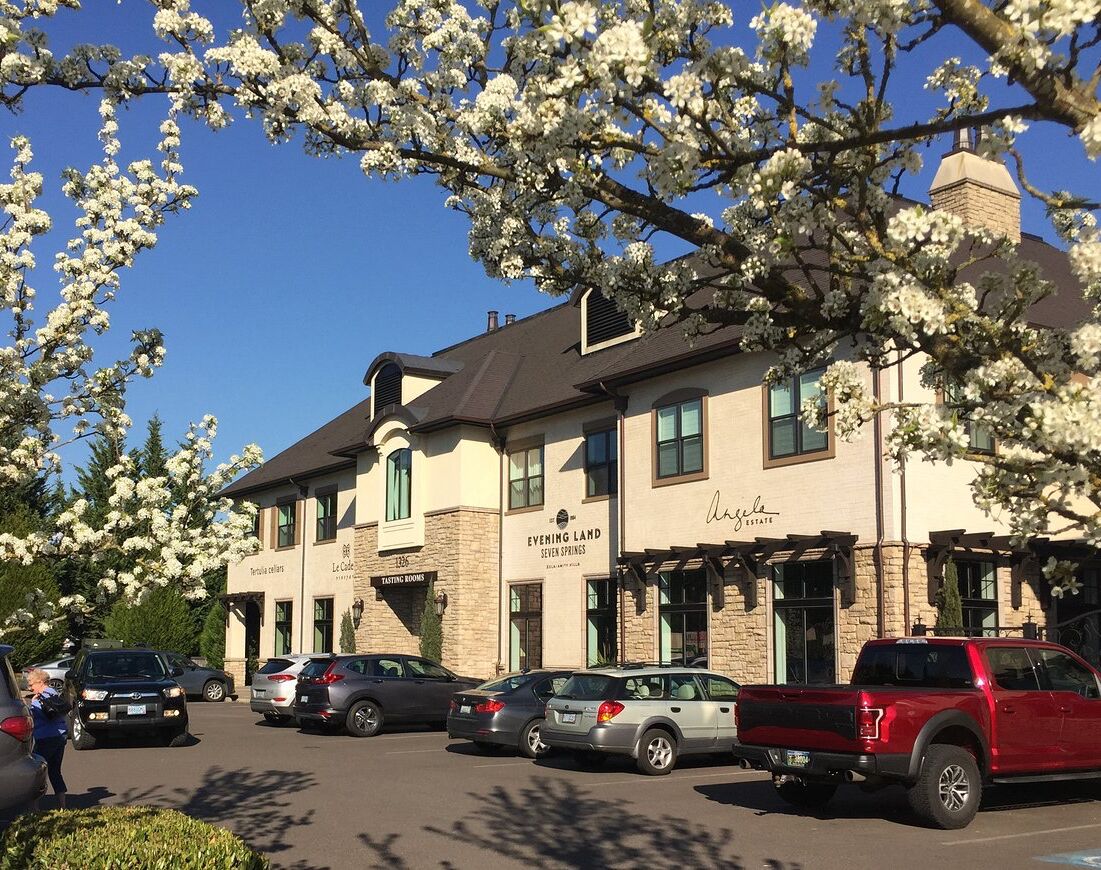 Picture of The Dundee Hotel