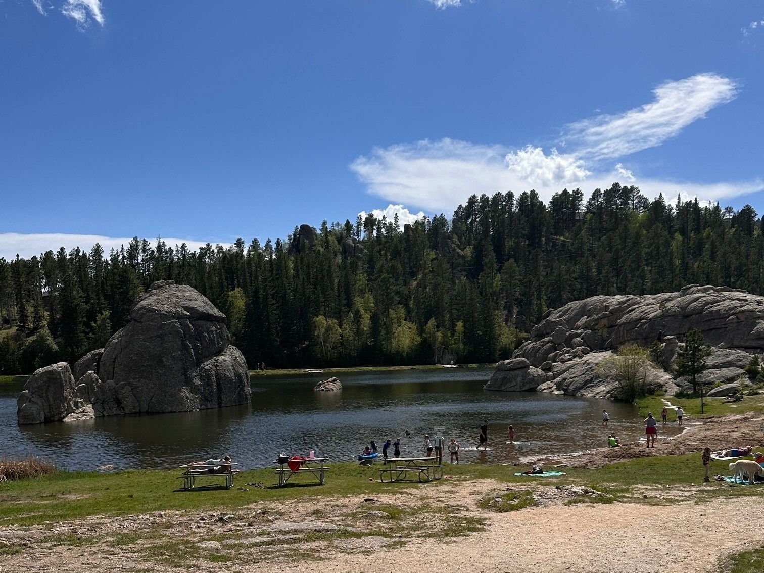 Picture of Custer State Park