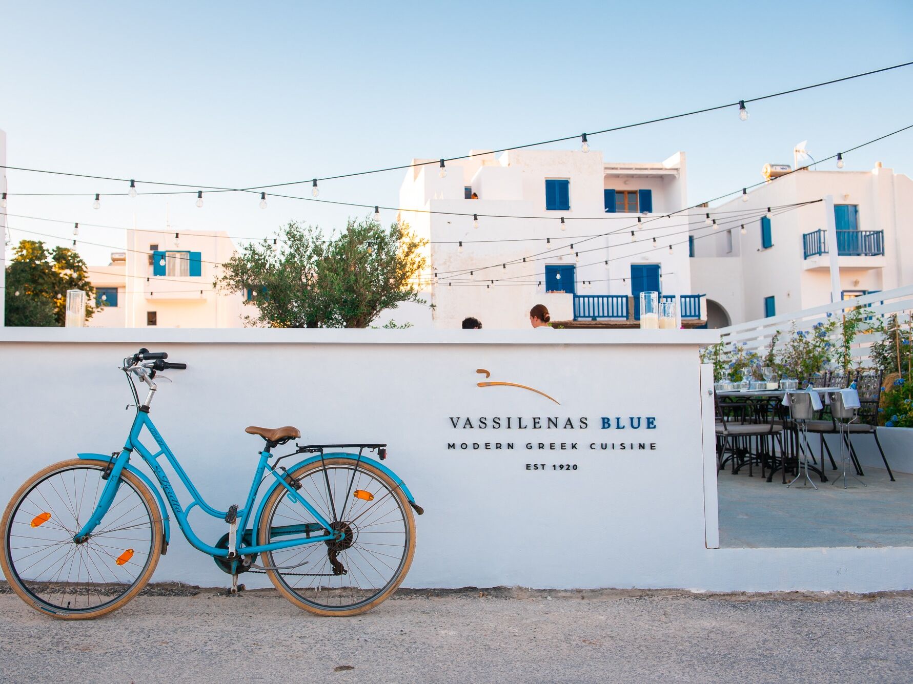 Picture of VASSILENAS BLUE ANTIPAROS - Βασίλαινας BLUE Αντίπαρος