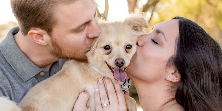 Hailey & Hayden Home Page Banner