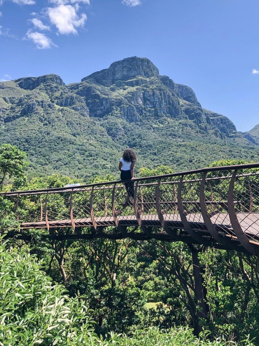 Picture of Kirstenbosch National Botanical Garden