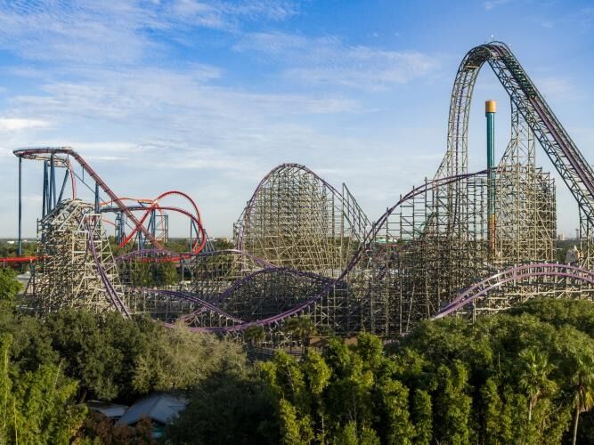 Picture of Busch Gardens Tampa Bay
