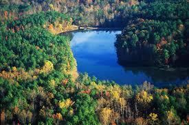 Picture of William B. Umstead State Park