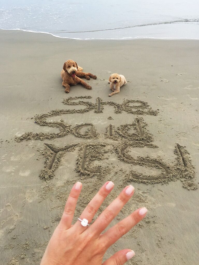 Engagment ring selfie idea with pets