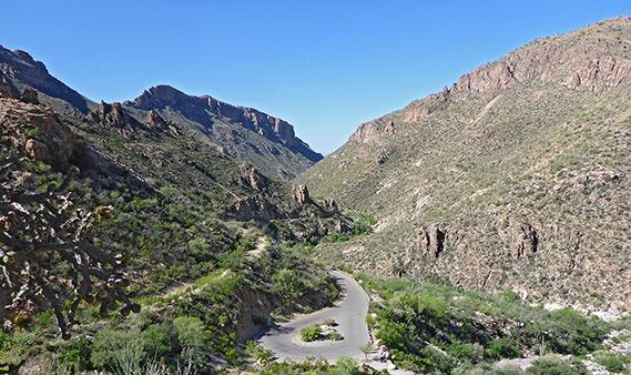Picture of Sabino Canyon