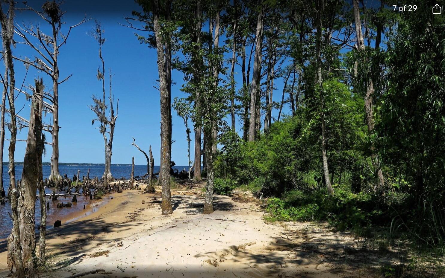 Picture of Pine Cliff Neusiok Trail Croatan National Forest