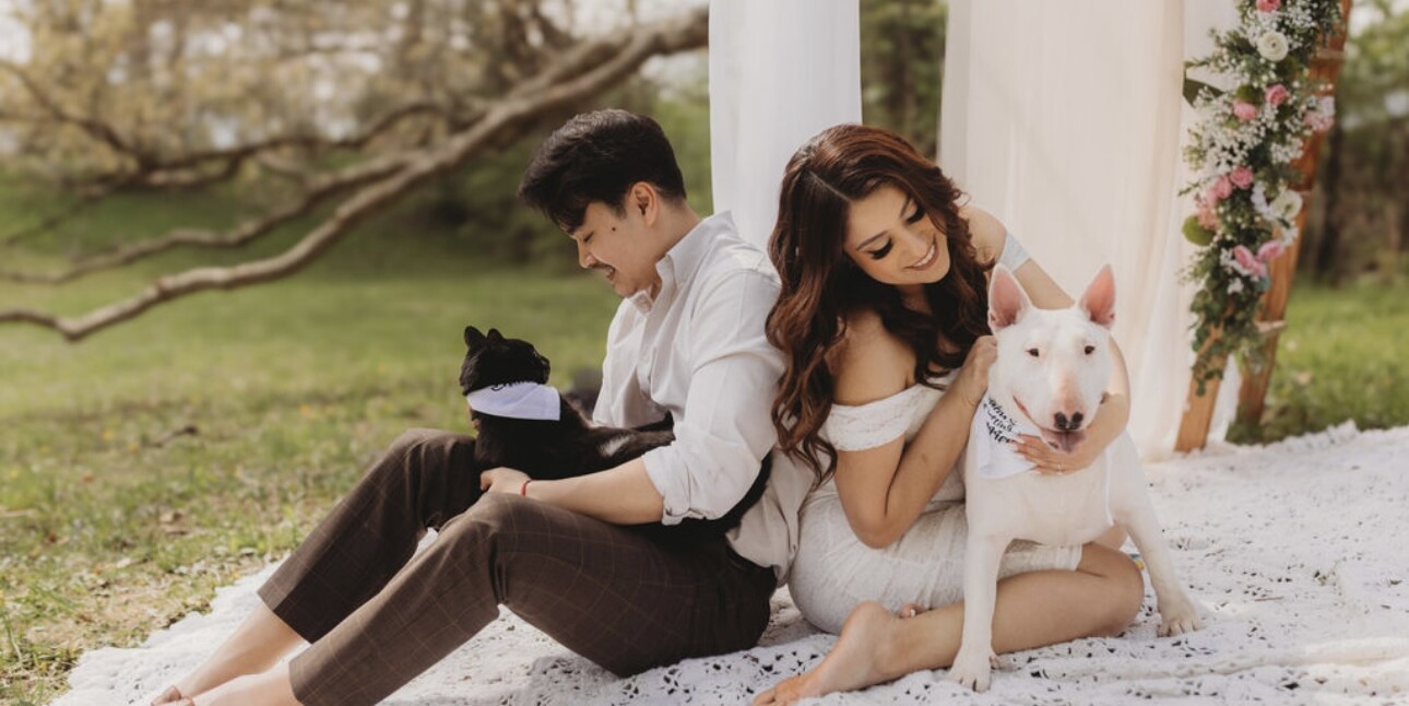 Taylor & Thomas Home Page Banner