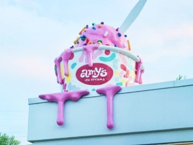 Picture of Amy's Ice Creams