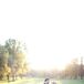 Minnetonka Country Club Wedding Reception
