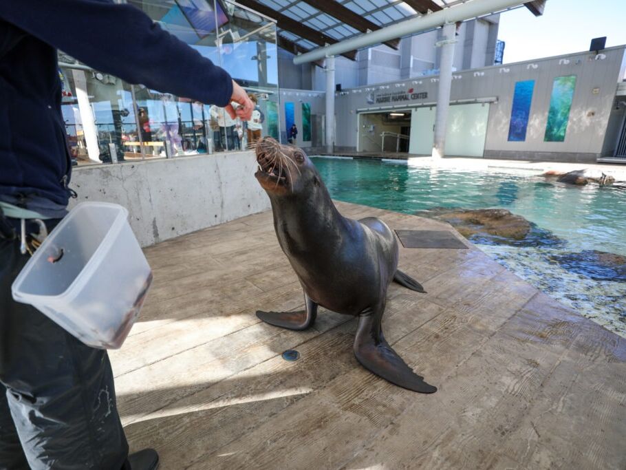 Picture of New England Aquarium