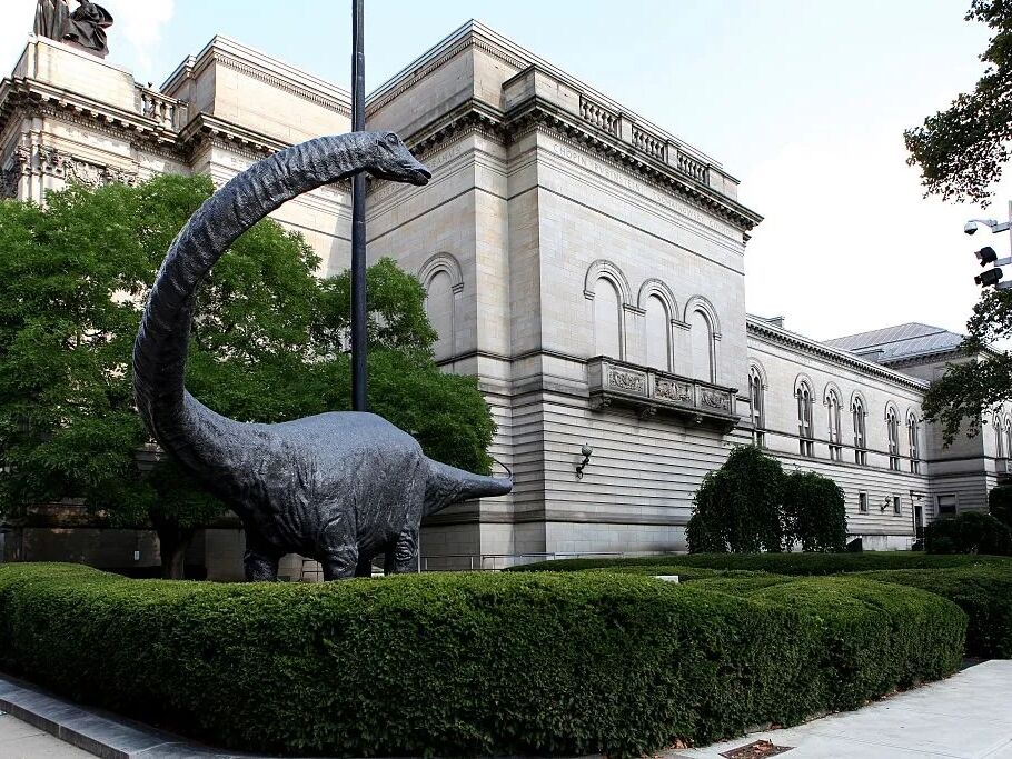 Picture of Carnegie Museum of Natural History