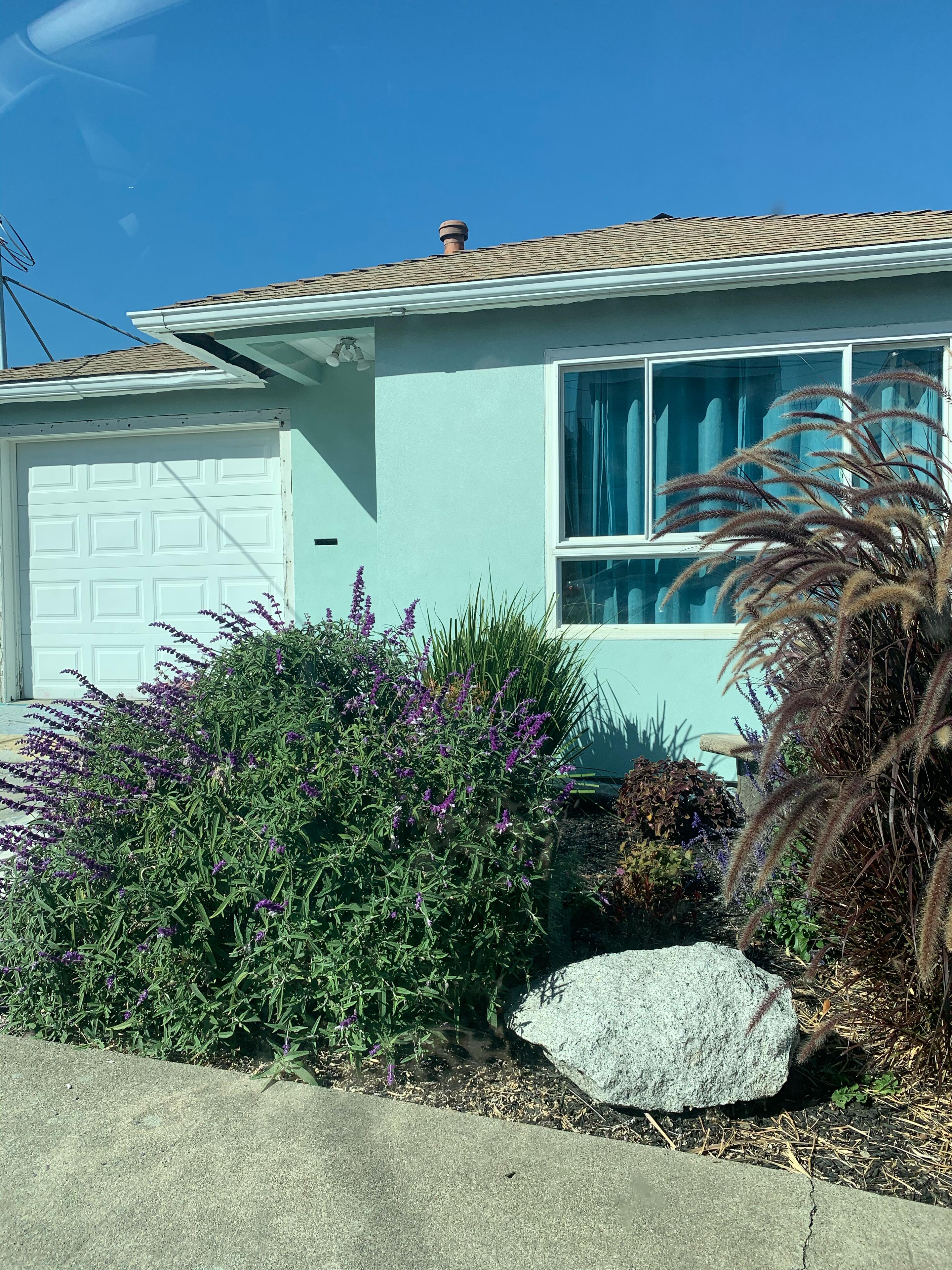 Picture of Buying a House