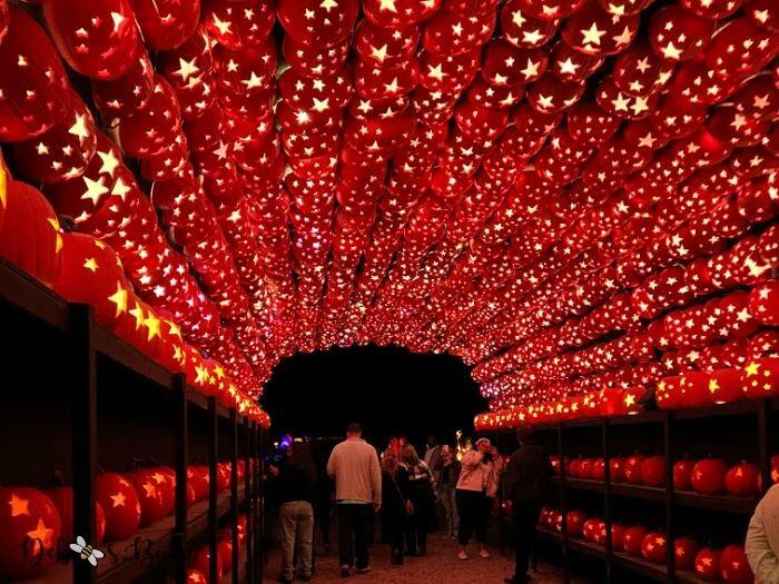 Picture of The Great Jack O’Lantern Blaze: Hudson Valley
