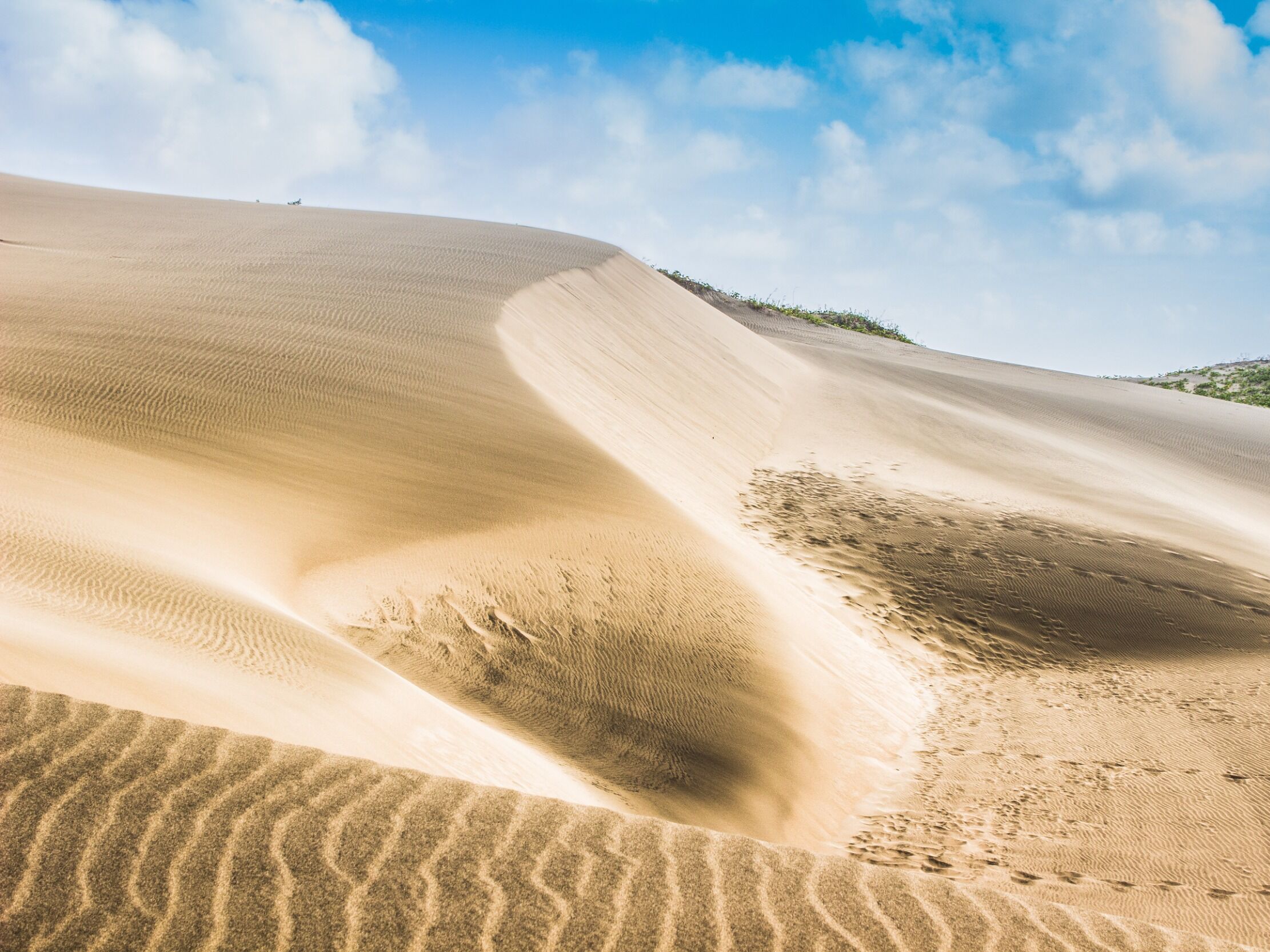 Picture of Sigatoka Sand Dunes National Park