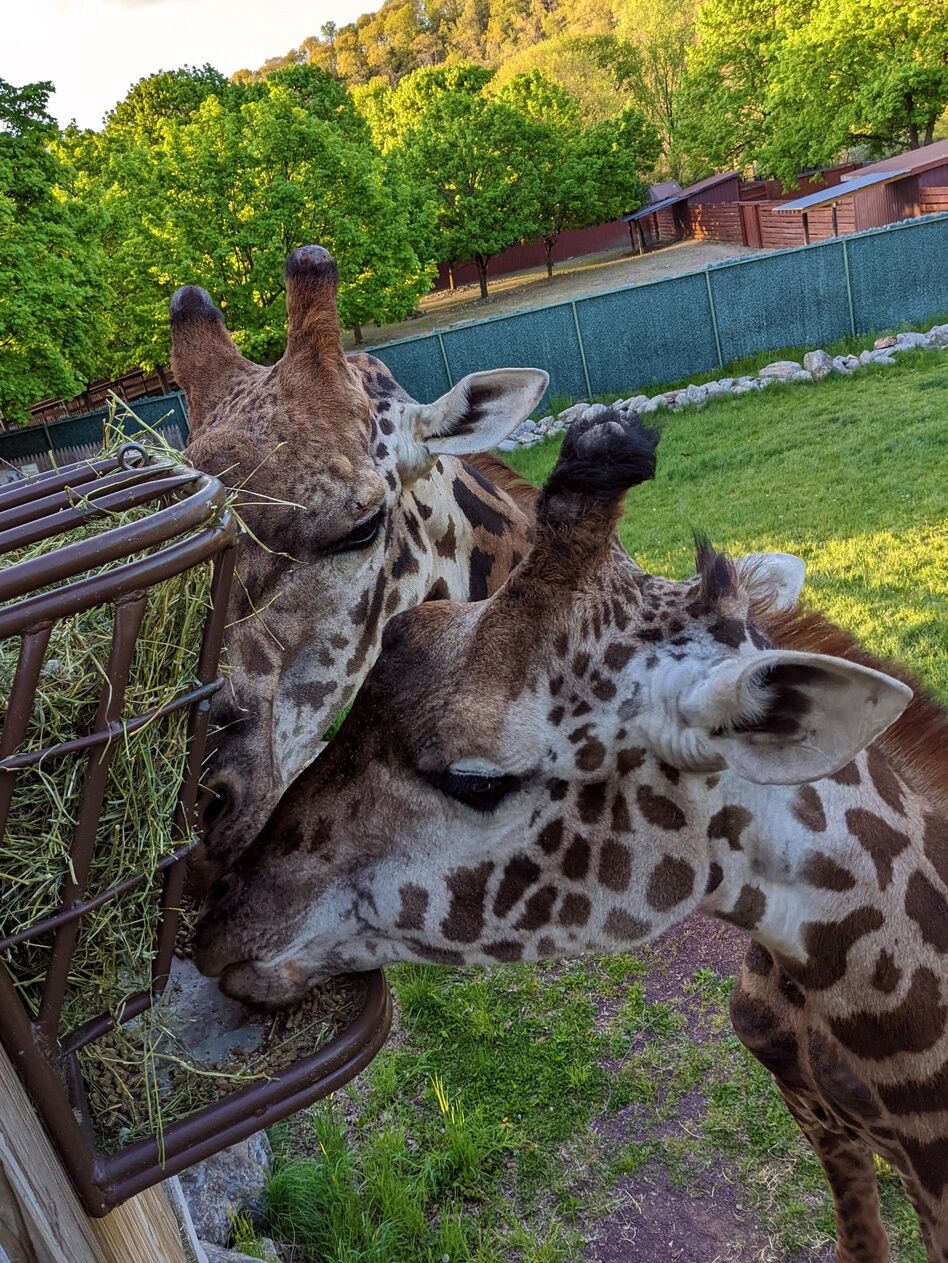 Picture of Lehigh Valley Zoo