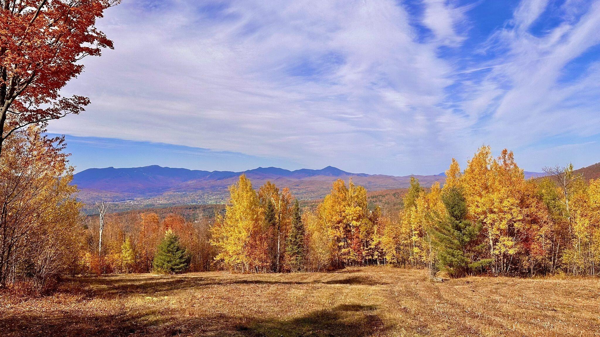 Picture of Best Trails and Hikes in Stowe